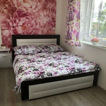 Apartmán na Lukách Třeboň Kültér fotó