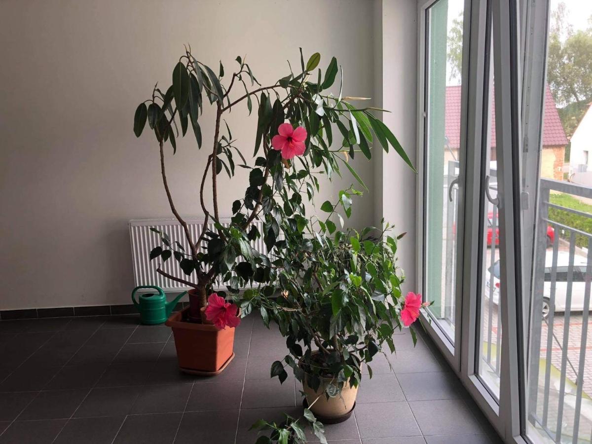 Apartmán na Lukách Třeboň Kültér fotó